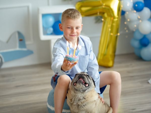 Berniukas laiko tortėlį su uždegtomis žvakutėmis šalia mopso – cake smash fotosesija Šiauliuose
