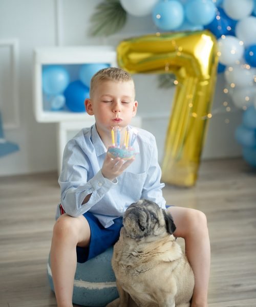 Berniukas pučia žvakutes ant keksiuko, šalia sėdi šuo mopsas, fone balionai – cake smash fotosesija Šiauliuose