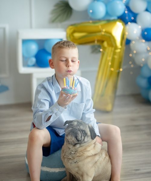 Berniukas pučia tortėlio žvakutes, tarp kojų sėdi mopsas – cake smash fotosesija Šiauliuose